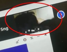 网课忘关摄像头吃瓜,这瓜太新鲜了！
