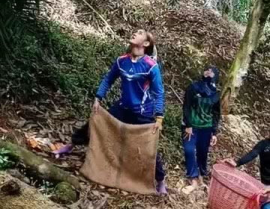 农村小姐姐摘榴莲视频,展现田园生活魅力