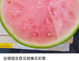 外国吃瓜网,揭秘全球热点事件背后的真相与笑料