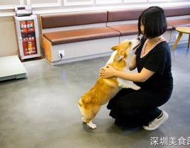 寄养小姐姐,温馨守护，共筑爱的家园